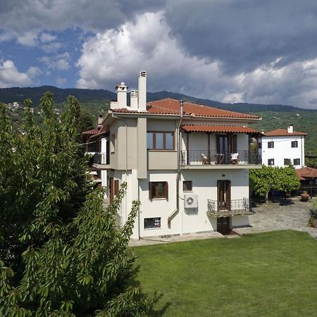 Iatrou House- Villa With Incredible View Portaria  Luaran gambar